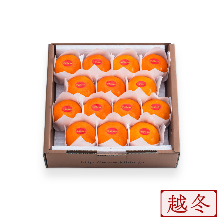 越冬完熟 14個入