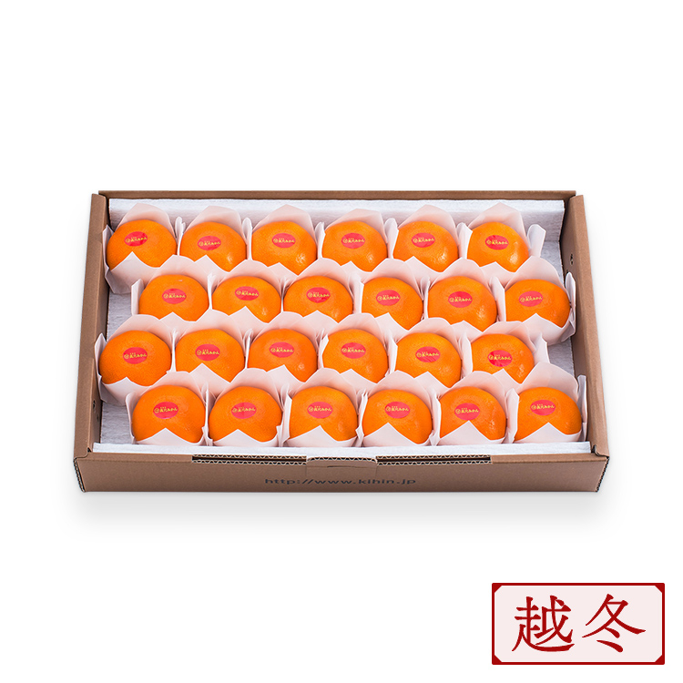 越冬完熟 24個入