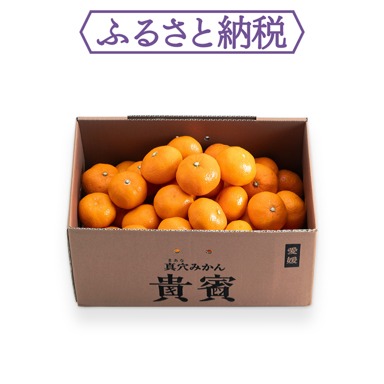 愛媛産】高級真穴みかん 貴賓(きひん)ーブランド｜真網代青果