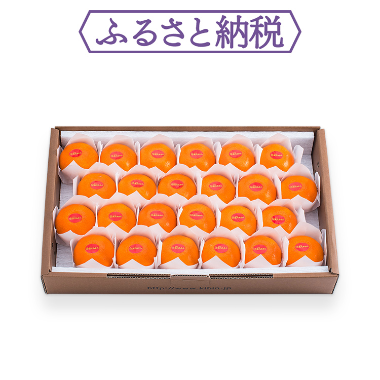 愛媛産】高級真穴みかん 貴賓(きひん)ーブランド｜真網代青果