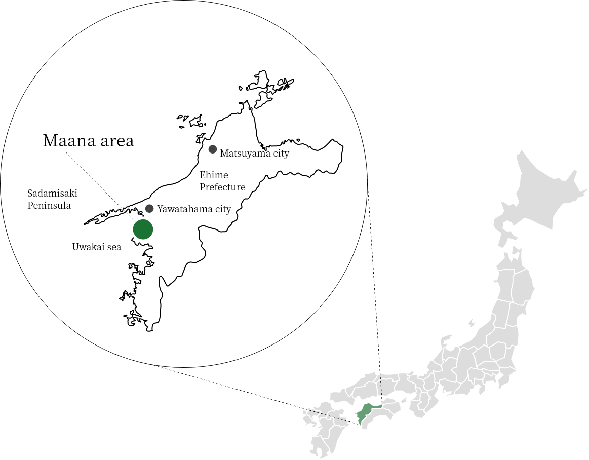 イメージ:産地真穴
